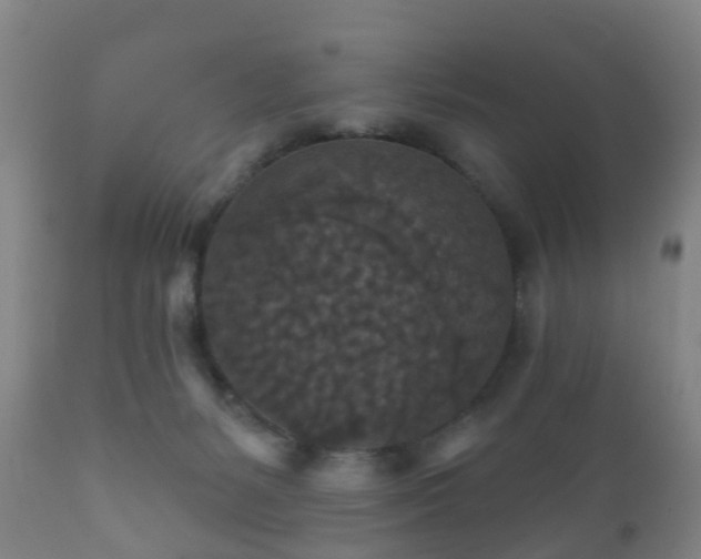 X0000112350127200908201448
