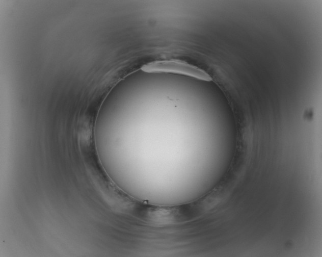 X0000112350129200908201448
