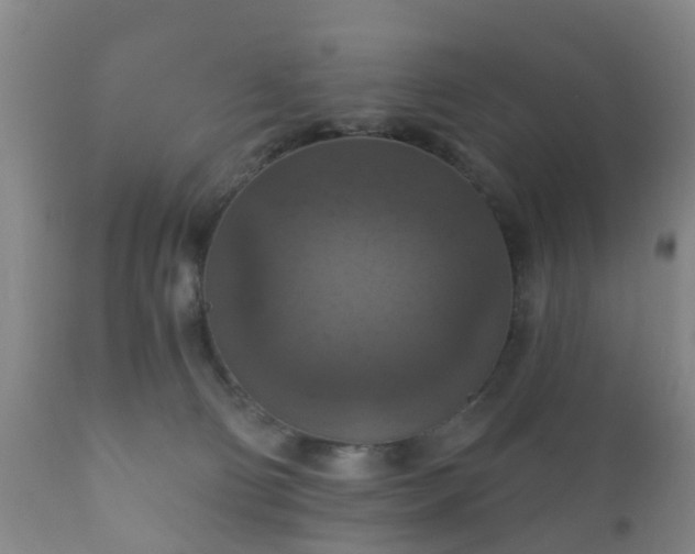 X0000112350130200908201448