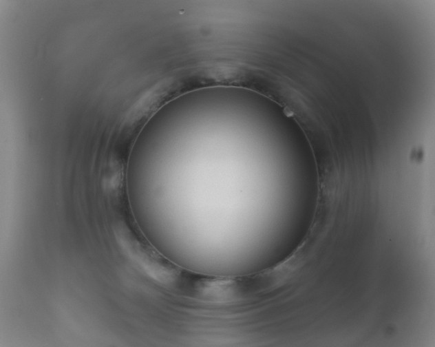 X0000112350132200908201448