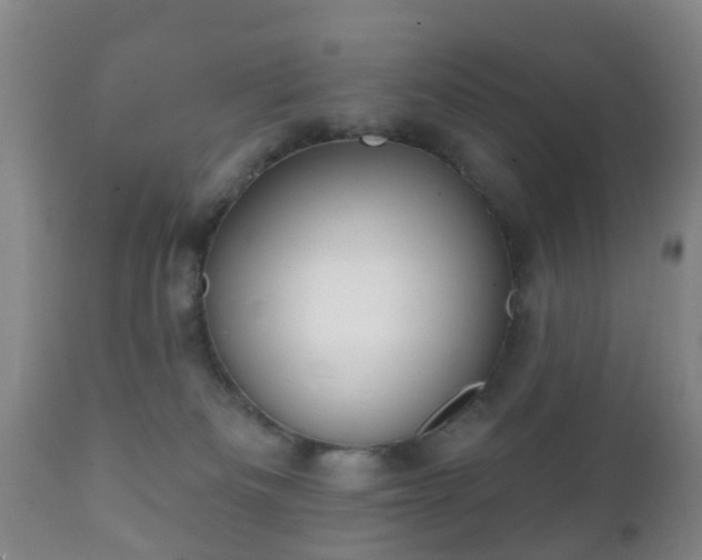 X0000112350133200908201448