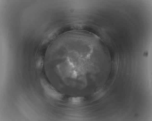 X0000112350134200908201448