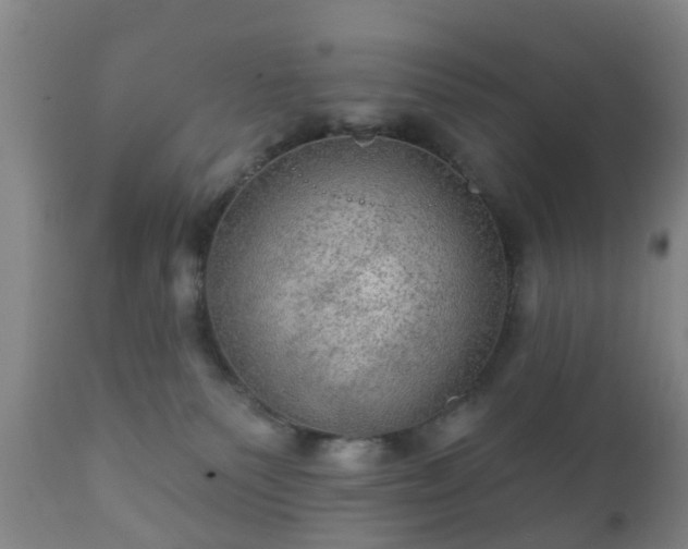 X0000112350135200908201448