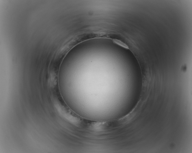 X0000112350136200908201448
