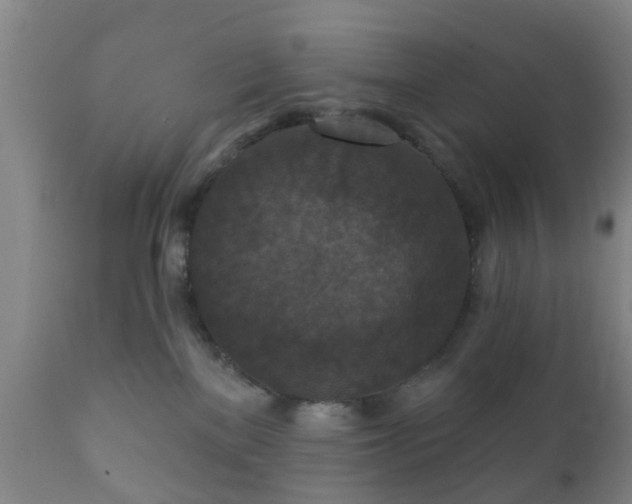 X0000112350137200908201448