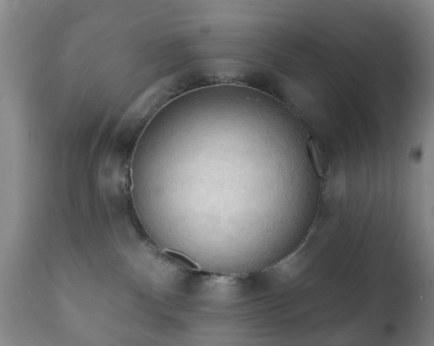 X0000112350140200908201448