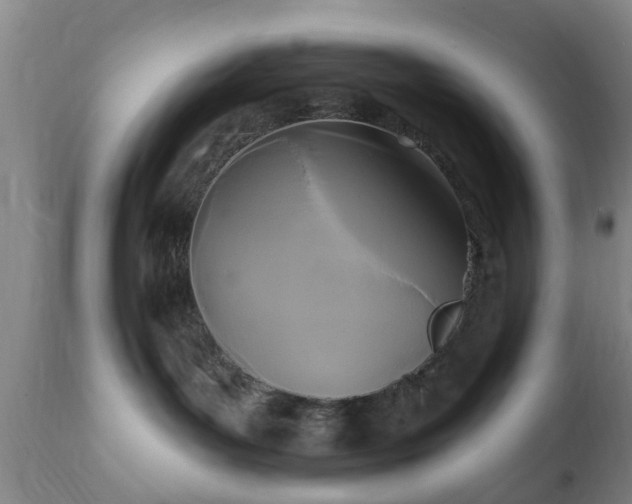 X0000112350143200908201448