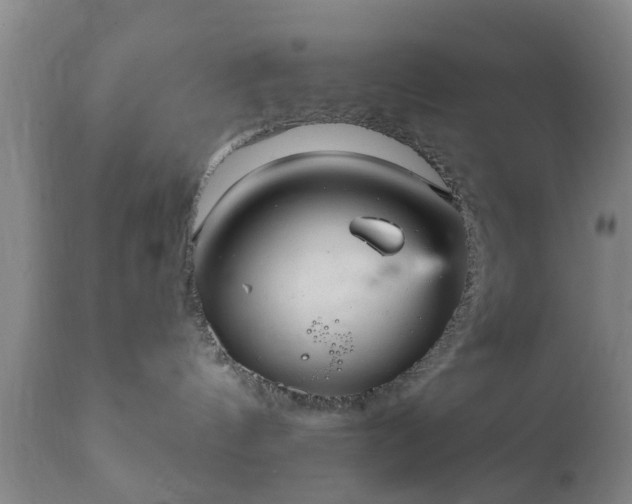 X0000112350144200908201448