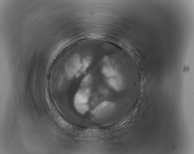X0000112350145200908201447