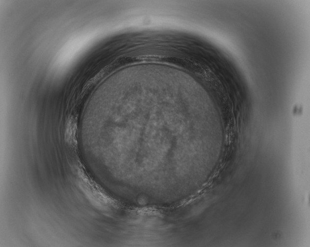 X0000112350146200908201447