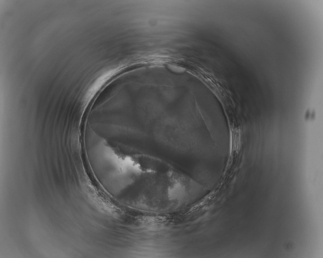 X0000112350147200908201447