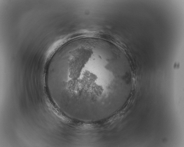 X0000112350149200908201447
