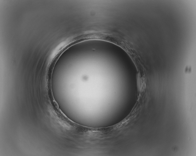 X0000112350150200908201447