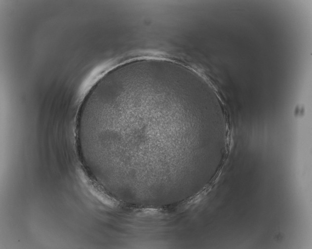 X0000112350151200908201447