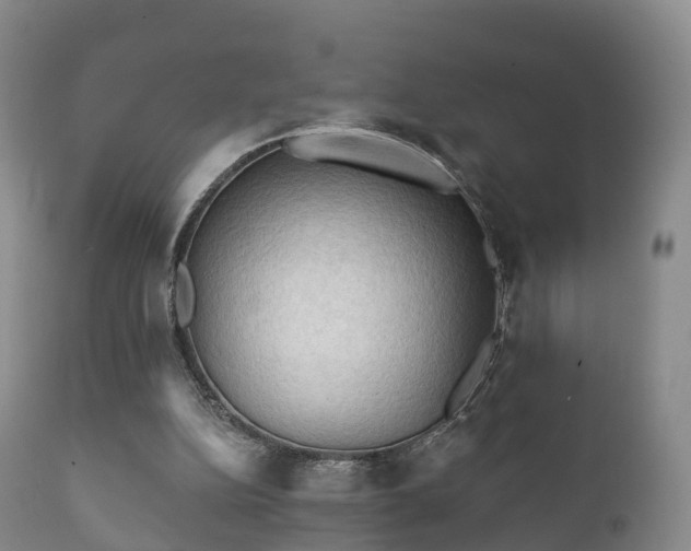 X0000112350152200908201448