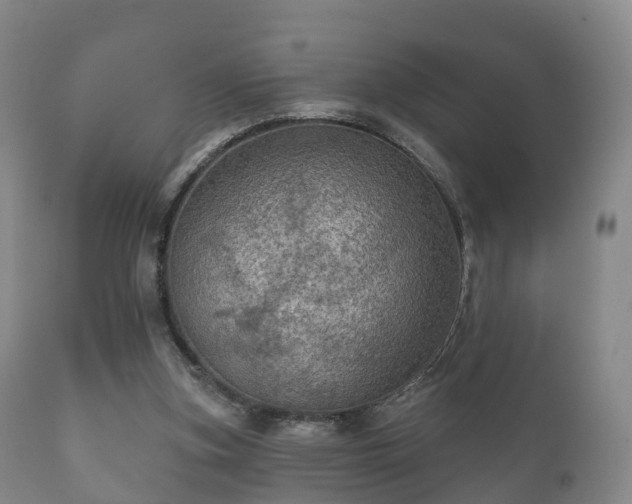 X0000112350155200908201448