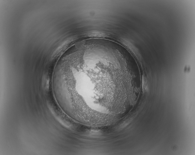 X0000112350157200908201448