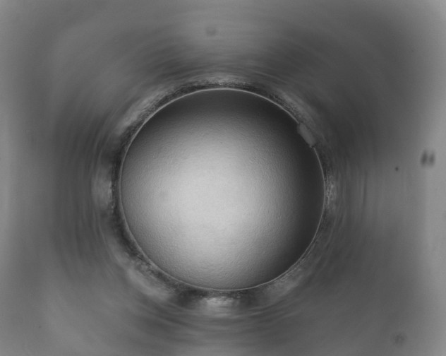 X0000112350158200908201448