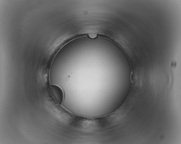 X0000112350160200908201448