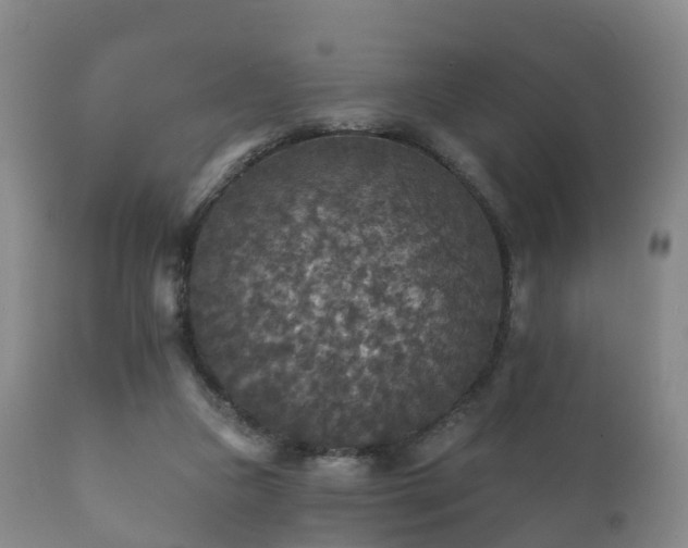 X0000112350161200908201448