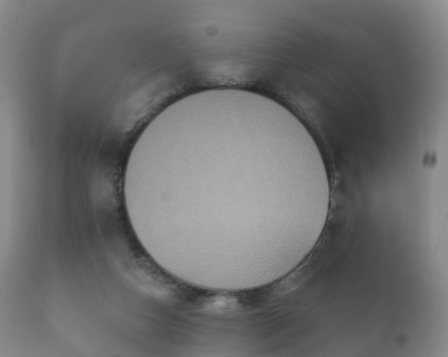 X0000112350162200908201448