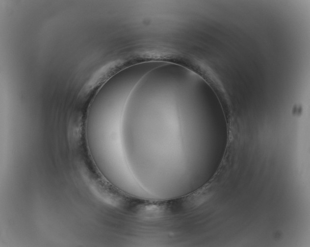 X0000112350163200908201448