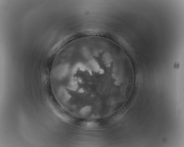 X0000112350165200908201448