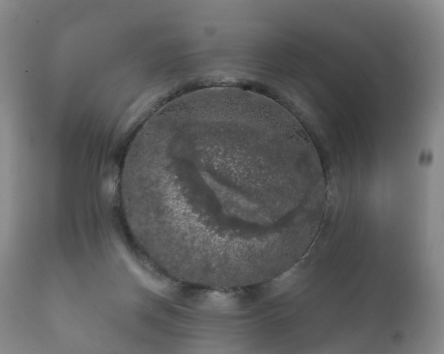 X0000112350166200908201448