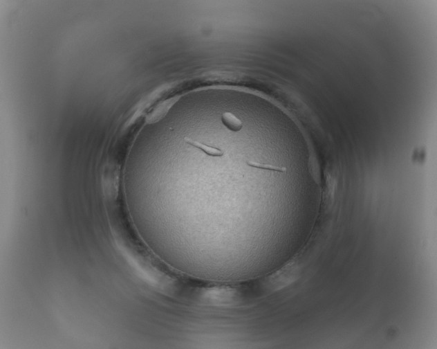 X0000112350168200908201448