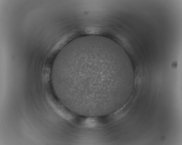 X0000112350171200908201448