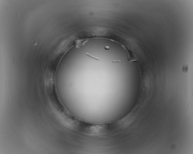 X0000112350172200908201448