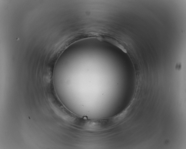 X0000112350174200908201448