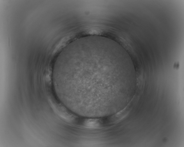 X0000112350175200908201448