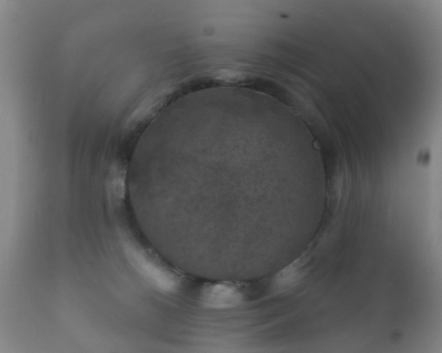 X0000112350180200908201448