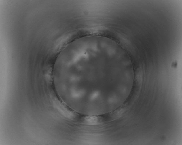 X0000112350181200908201448