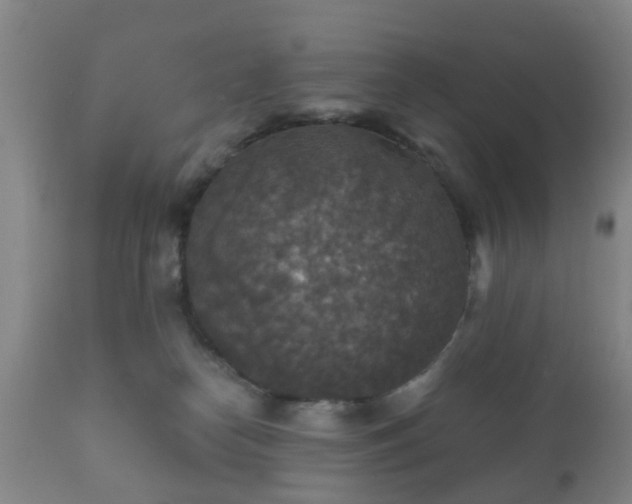 X0000112350182200908201448