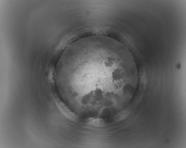 X0000112350185200908201448