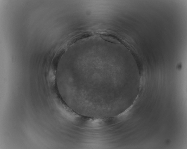 X0000112350186200908201448