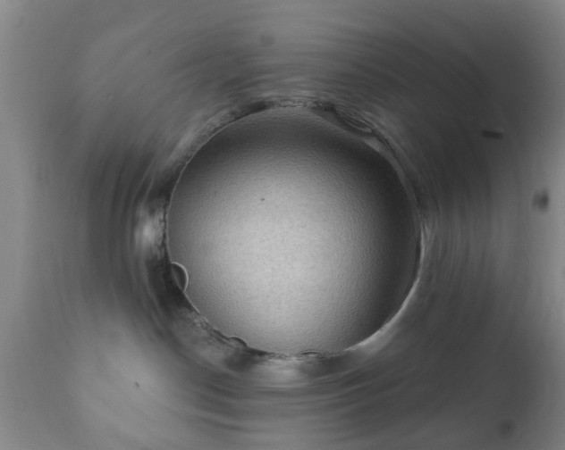 X0000112350190200908201448