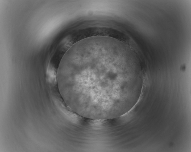 X0000112350191200908201448