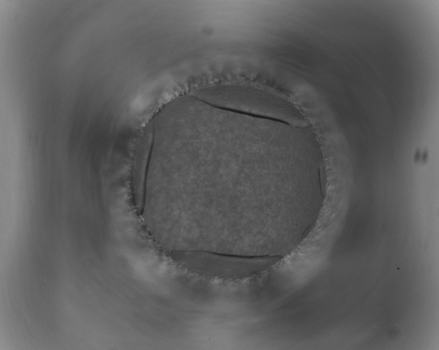 X0000112350192200908201448