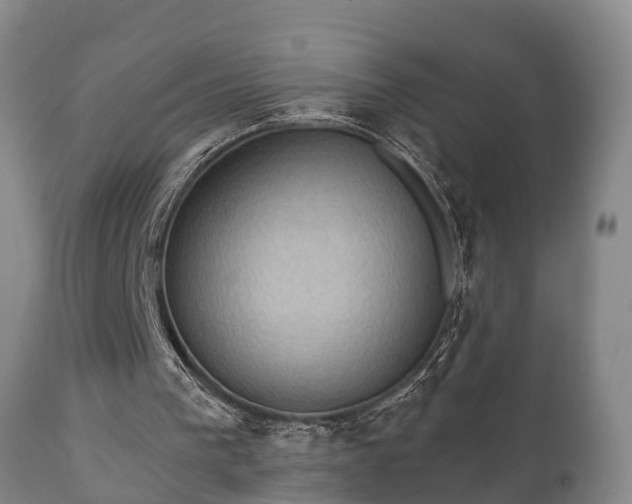 X0000112350193200908201447