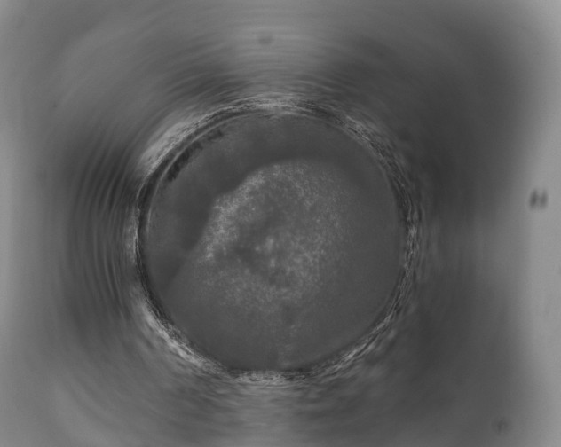 X0000112350194200908201447