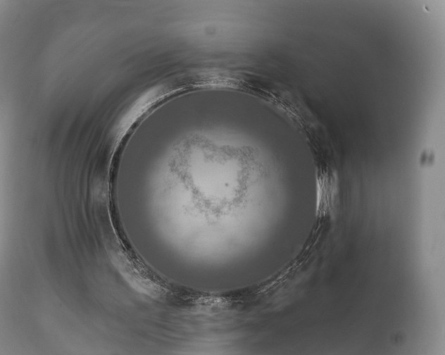 X0000112350195200908201447
