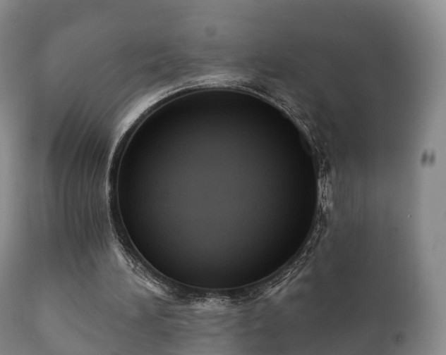 X0000112350196200908201447