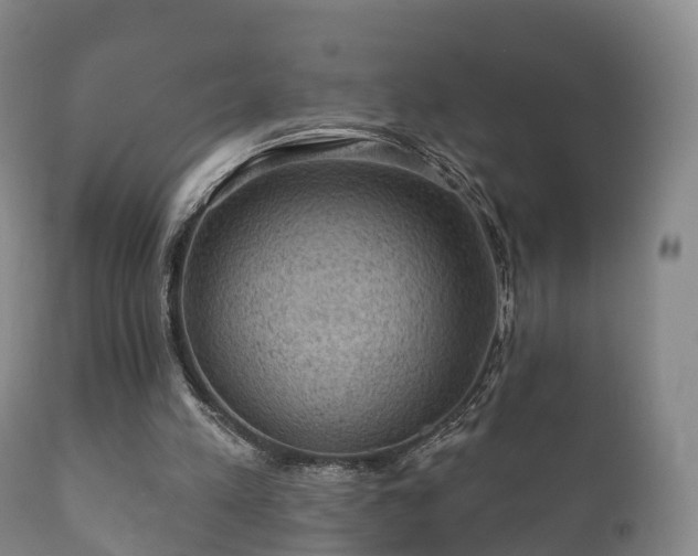 X0000112350197200908201447