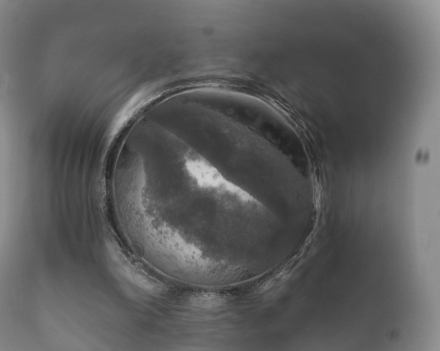 X0000112350198200908201447