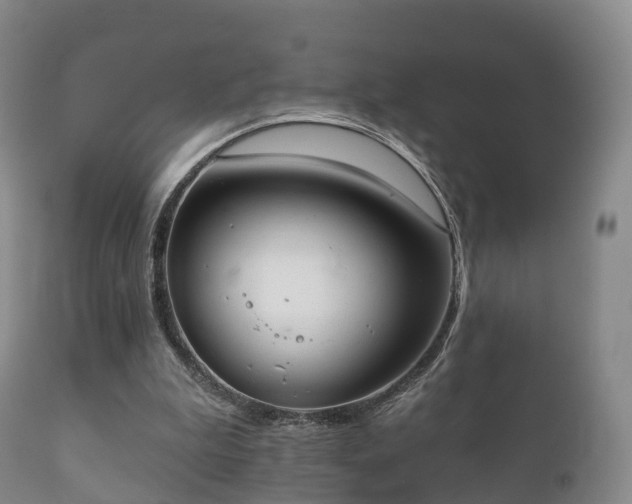 X0000112350199200908201447