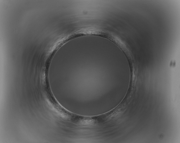 X0000112350202200908201447