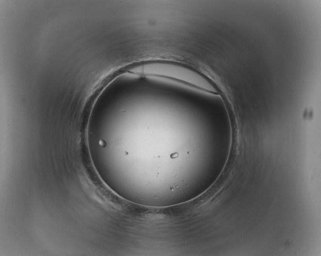 X0000112350203200908201447
